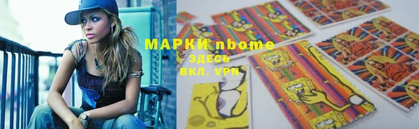 хмурый Каменка