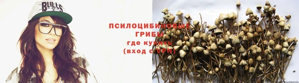 хмурый Каменка