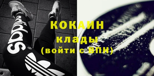 хмурый Каменка
