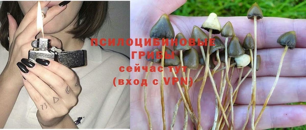 кокаин премиум Каменногорск