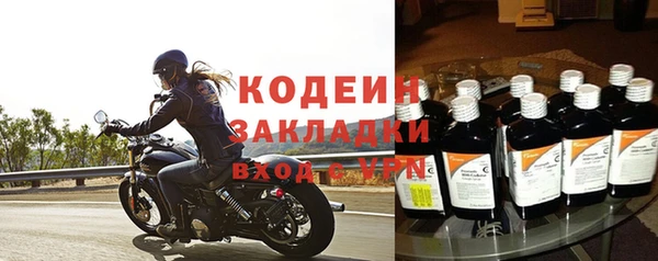 хмурый Каменка