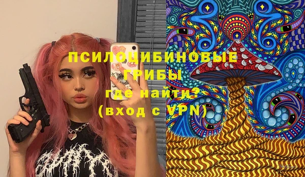 хмурый Каменка